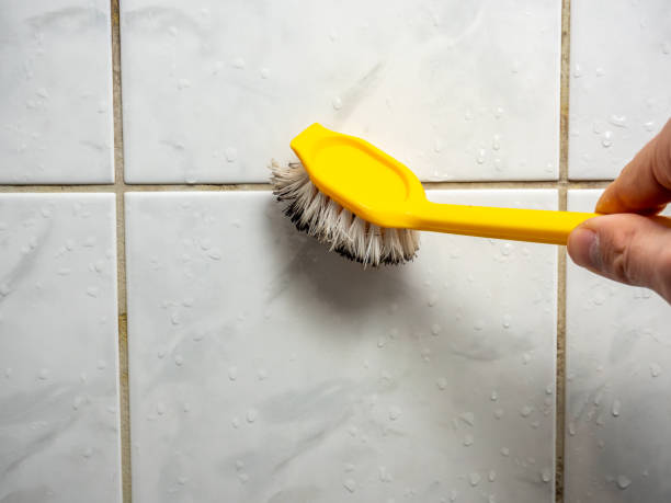Best Emergency Mold Removal  in Jerome, IL