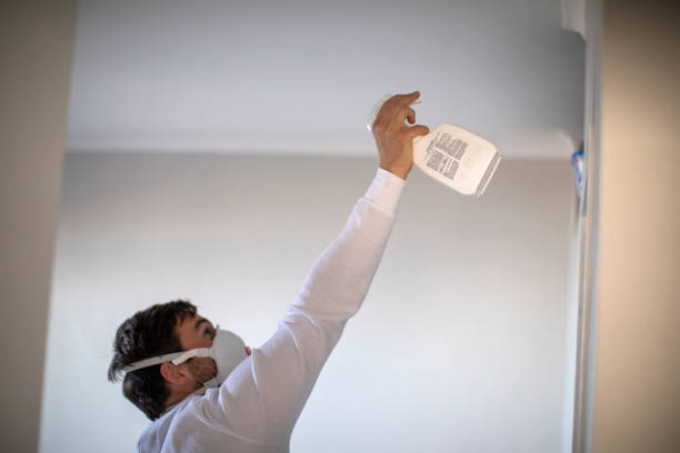 Best Office Mold Removal Services  in Jerome, IL