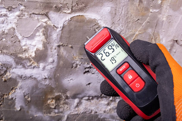 Best Attic Mold Removal  in Jerome, IL